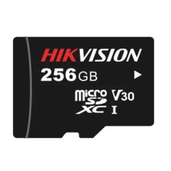 HIKVISION HS-TF-L2/256G/P